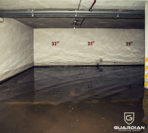 What Causes Water to Collect in Your Crawl Space