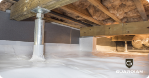 Opt for Crawl Space Repair Services for Ideal Dehumidification